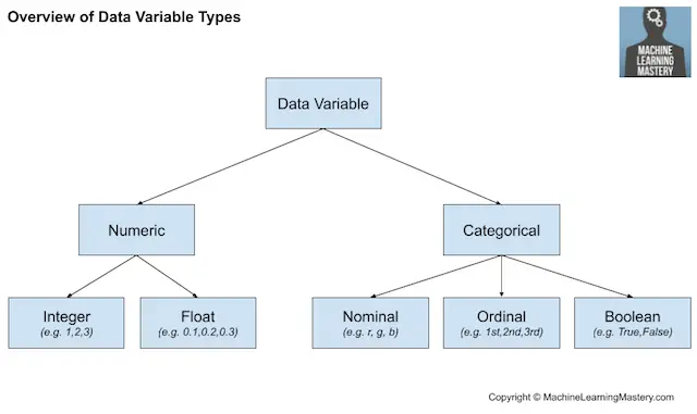 Resumen de los tipos de variables de datos