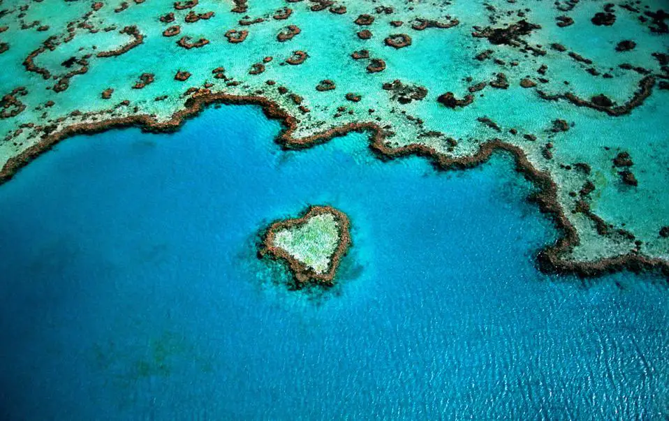 La salud de los océanos es fundamental para miles de millones de personas en todo el mundo.  Visto aquí: un arrecife en forma de corazón en la Gran Barrera de Coral, Australia.
