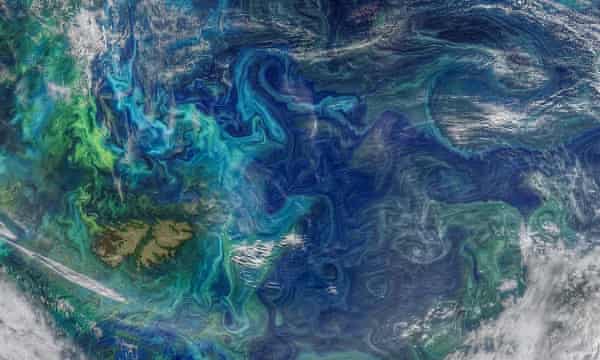 Una imagen de la NASA de los remolinos y pequeñas corrientes justo debajo de la superficie del océano, que muestra el patrón de remolinos de floraciones de fitoplancton en el sur del Océano Atlántico.