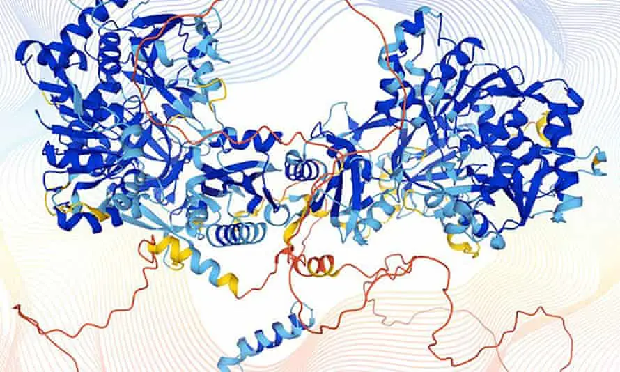La estructura de una proteína humana modelada por el programa AlphaFold.