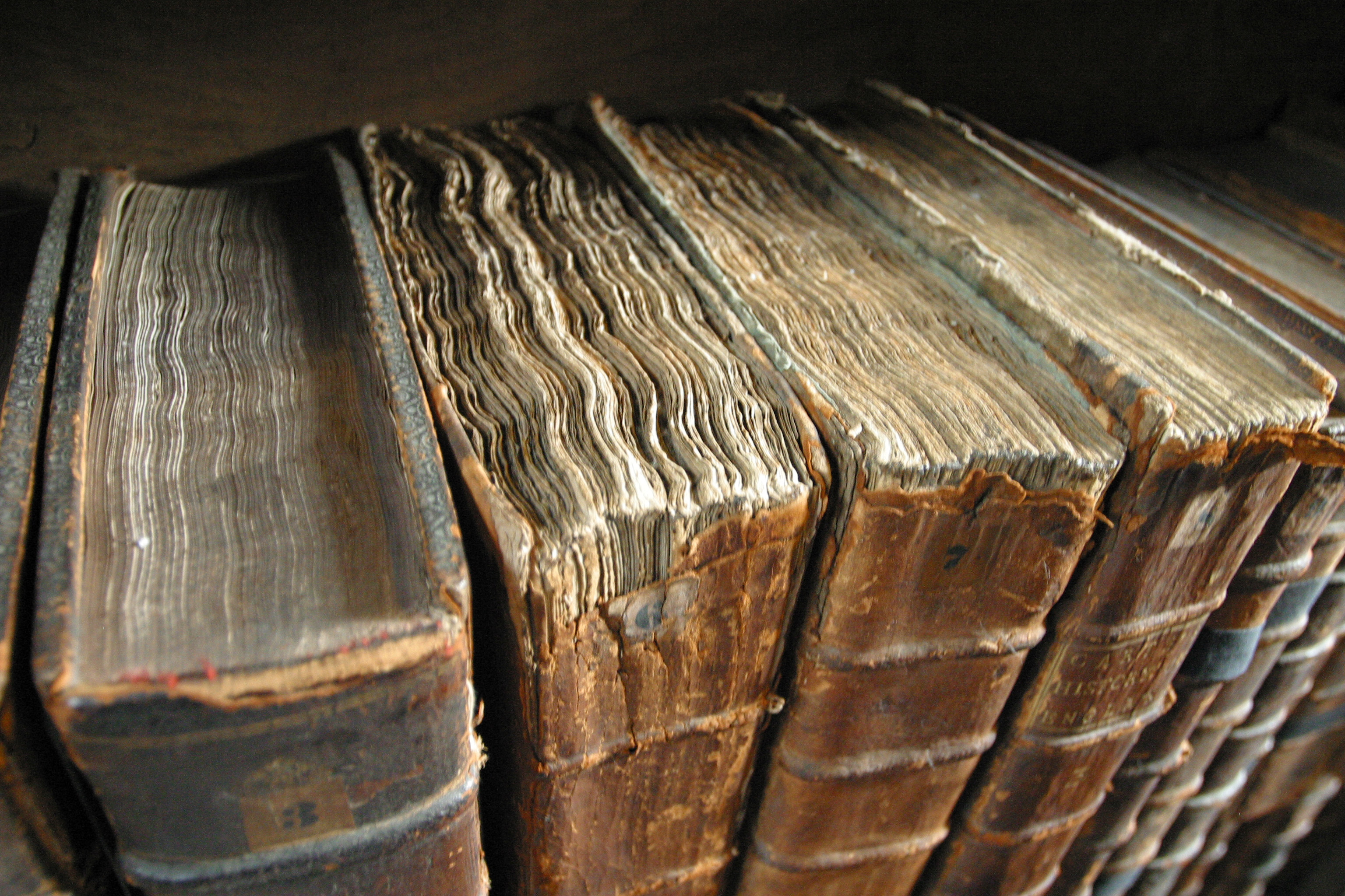 Libro (Foto: Wikipedia)